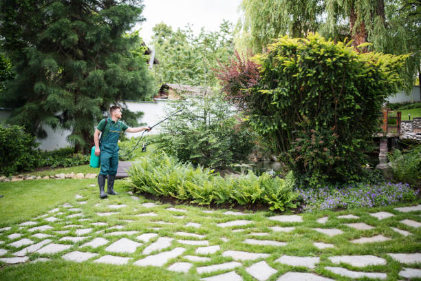 Best Affordable Pest Control Services  in Louisville, MS