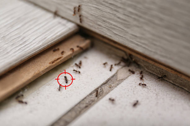 Best Commercial Pest Control Services  in Louisville, MS