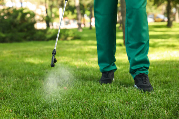Best Pest Control for Businesses  in Louisville, MS