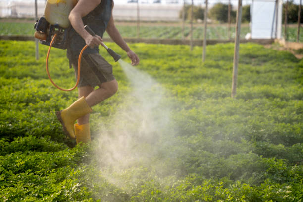 Trusted Louisville, MS Pest Control Experts