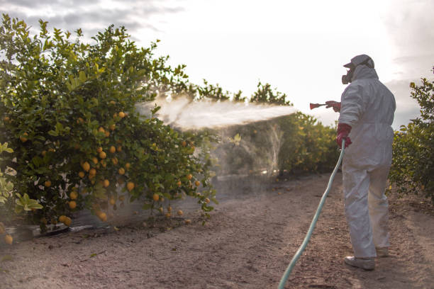 Best Wildlife Control Services  in Louisville, MS