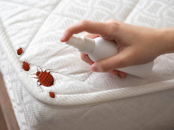 Best Flea Control Services  in Louisville, MS