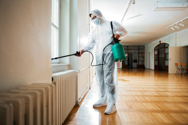 Best Rat Extermination Near Me  in Louisville, MS