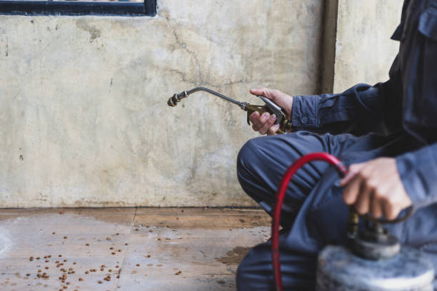 Best Affordable Pest Control Services  in Louisville, MS