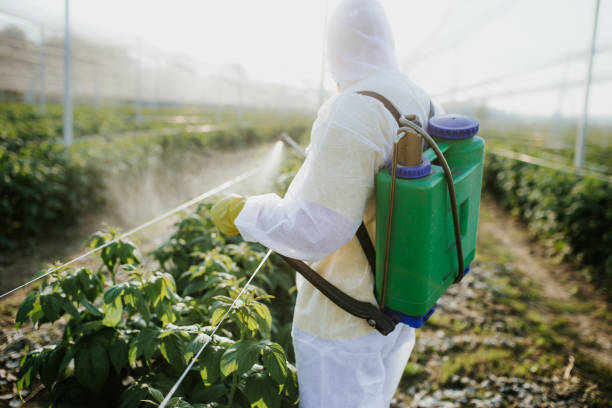 Best Insect Control  in Louisville, MS